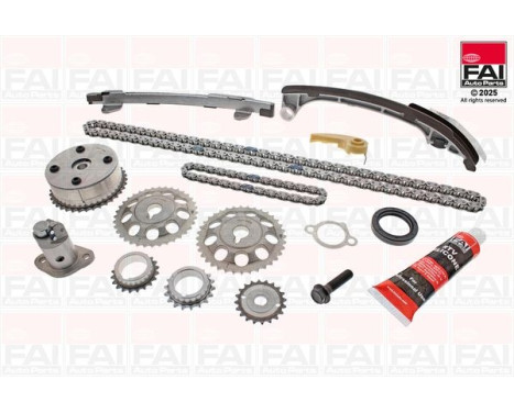 Timing Chain Set
