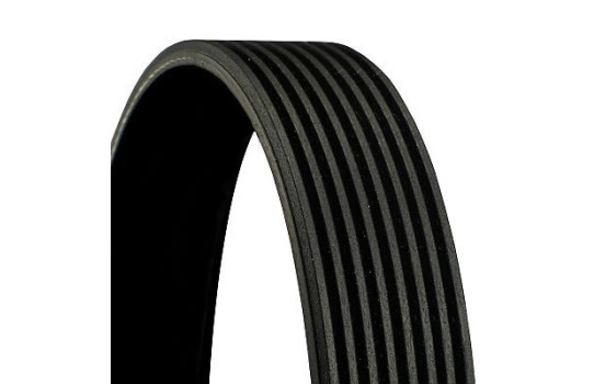 V-Ribbed Belts 8PK2115 Contitech