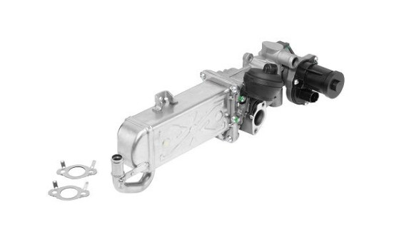 AGR module 710861R Wahler