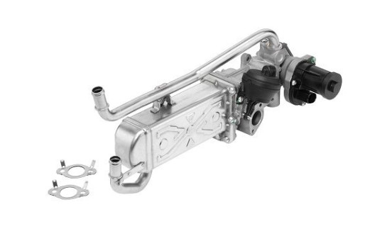 AGR module 710862R Wahler