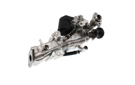 Cooler, exhaust recirculation