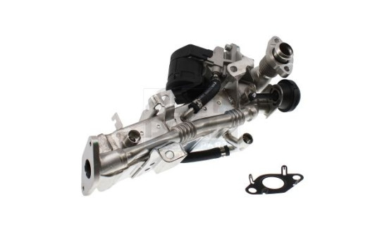 Cooler, exhaust recirculation