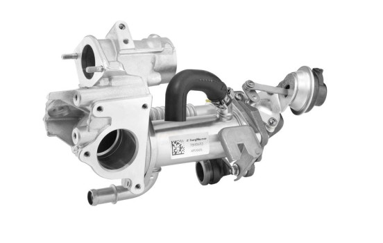Cooler, exhaust return 790965D Wahler