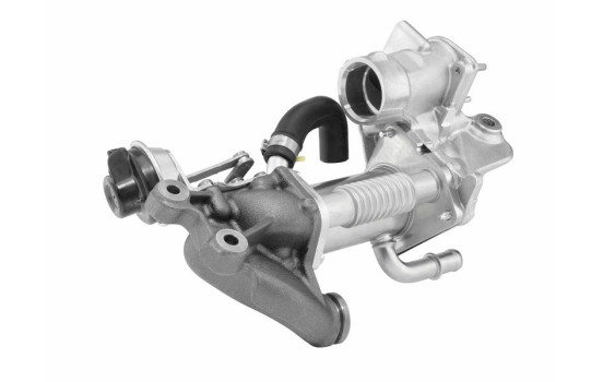 Cooler, exhaust return 790965D Wahler, Image 2