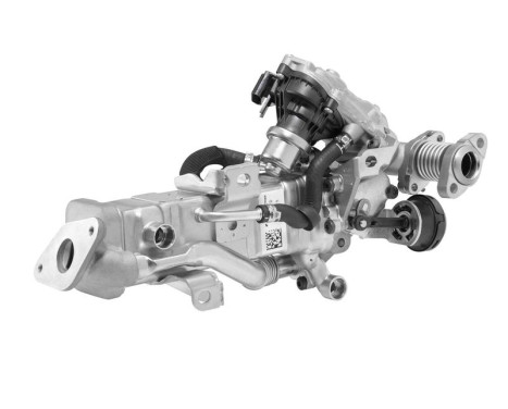 Cooler, exhaust return 792002D Wahler
