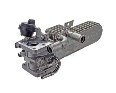 Cooler, exhaust return
