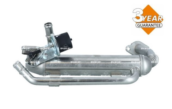 EGR Module