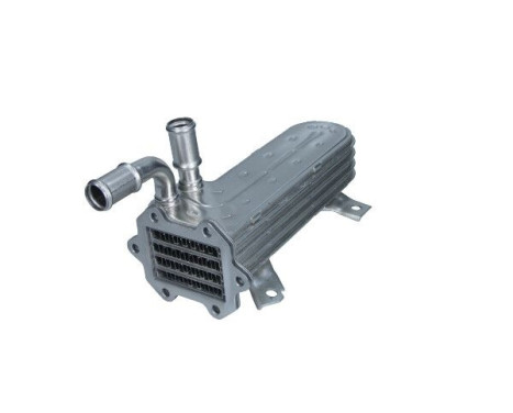 EGR Module
