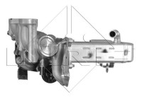 EGR Module