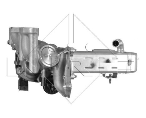 EGR Module