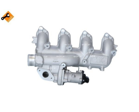 EGR Module