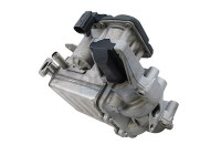 EGR Module