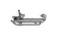 EGR Module
