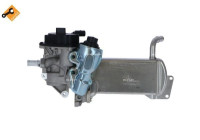 EGR Module