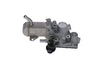 EGR Module