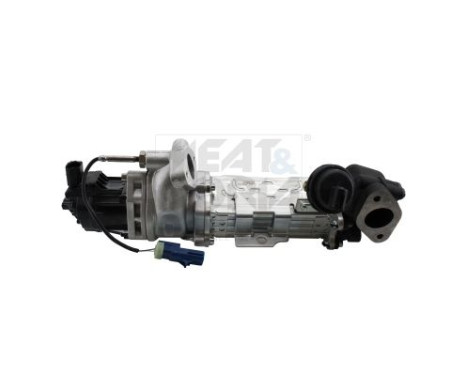 EGR Module