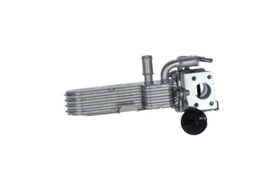EGR Module, Image 3