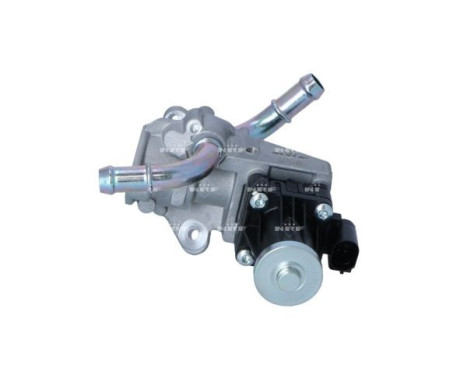 EGR Module