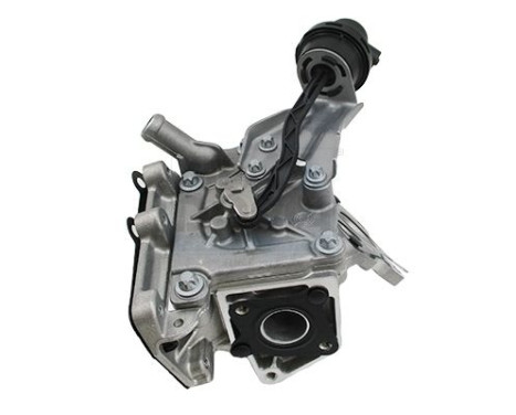EGR Module