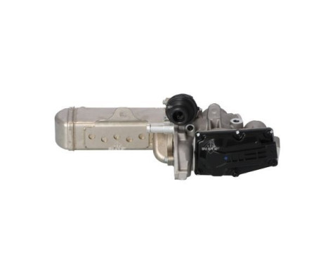 EGR Module