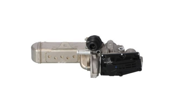 EGR Module