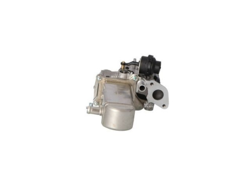 EGR Module, Image 4