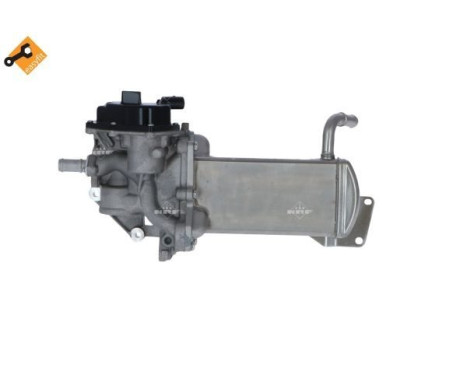 EGR Module