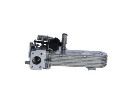 EGR Module