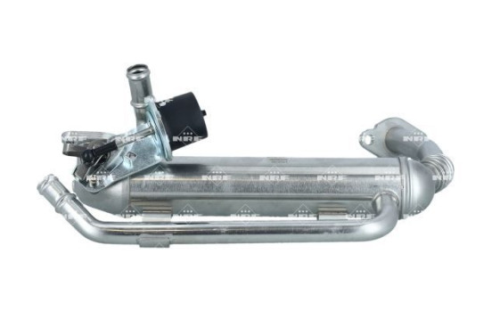 EGR Module