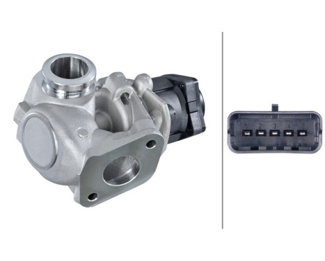 EGR Valve 6NU 010 171-111 Hella