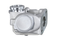 EGR Valve 6NU 010 171-111 Hella