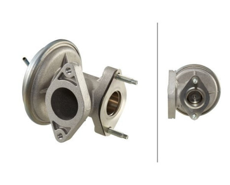 EGR Valve 6NU 010 171-241 Hella