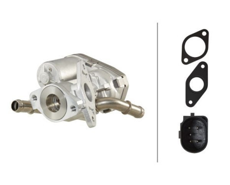 EGR Valve 6NU 010 171-271 Hella