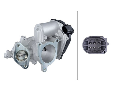 EGR Valve 6NU 010 171-291 Hella
