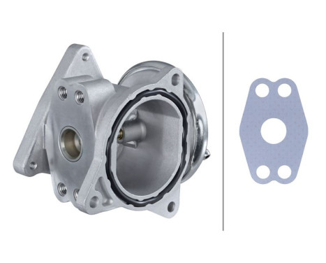 EGR Valve 6NU 010 171-301 Hella