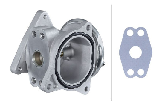 EGR Valve 6NU 010 171-301 Hella