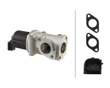 EGR Valve 6NU 010 171-331 Hella
