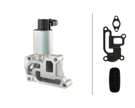 EGR Valve 6NU 010 171-381 Hella