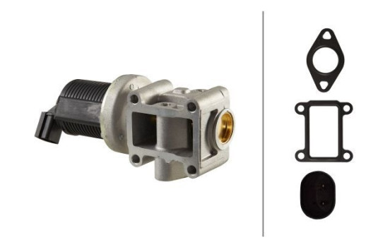 EGR Valve 6NU 010 171-401 Hella