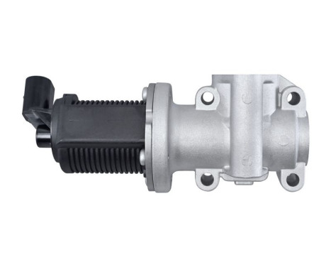 EGR Valve 6NU 010 171-401 Hella, Image 4