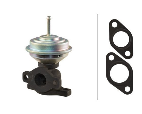 EGR Valve 6NU 010 171-411 Hella