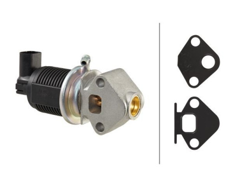 EGR Valve 6NU 010 171-431 Hella