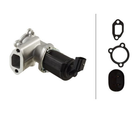 EGR Valve 6NU 010 171-451 Hella