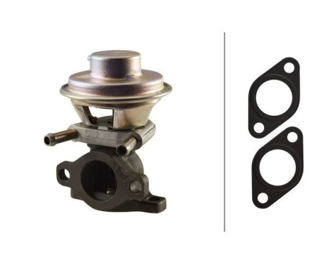 EGR Valve 6NU 010 171-481 Hella