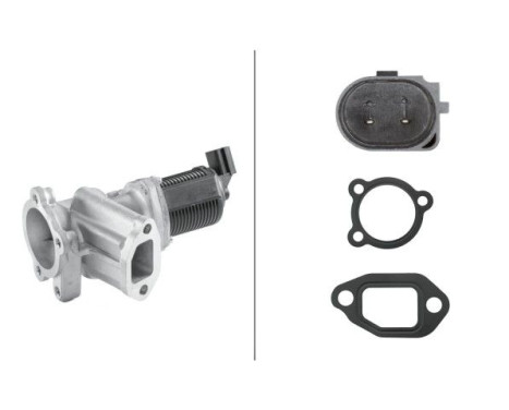EGR Valve 6NU 010 171-511 Hella