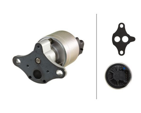 EGR Valve 6NU 010 171-601 Hella
