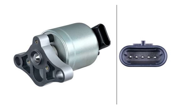 EGR Valve 6NU 010 171-611 Hella
