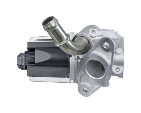 EGR Valve 6NU 010 171-661 Hella, Image 4