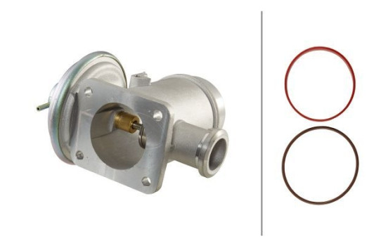 EGR Valve 6NU 010 171-691 Hella