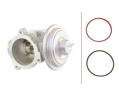 EGR Valve 6NU 010 171-701 Hella